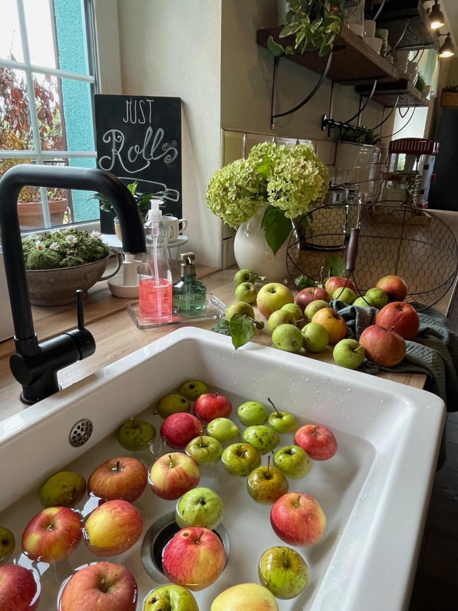 Orchardhouse Farmhouse, Wellness Chrast  Экстерьер фото